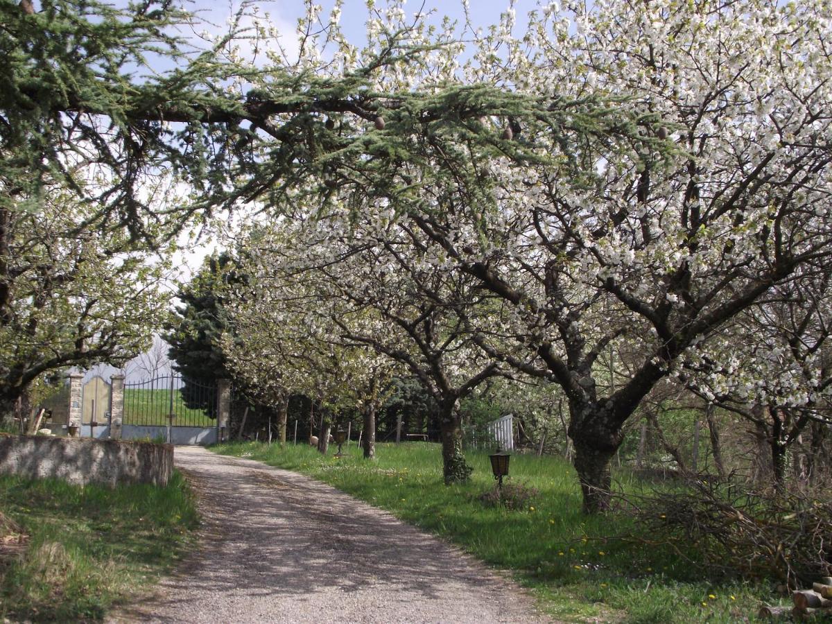Domaine Des Cigales, Chambre D'Hotes Saint-Martin-d'Aout Екстериор снимка